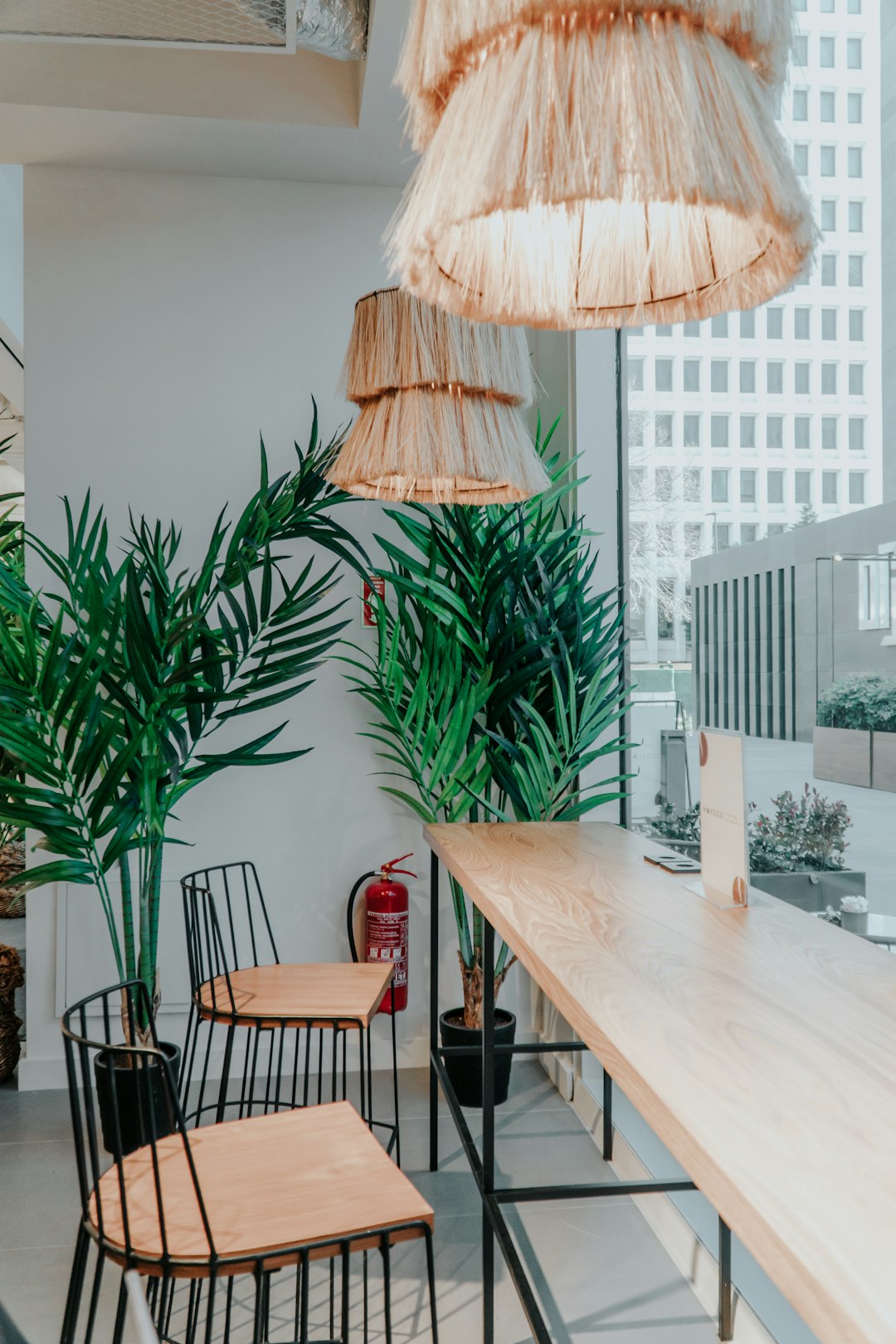 green palm plant beside white table