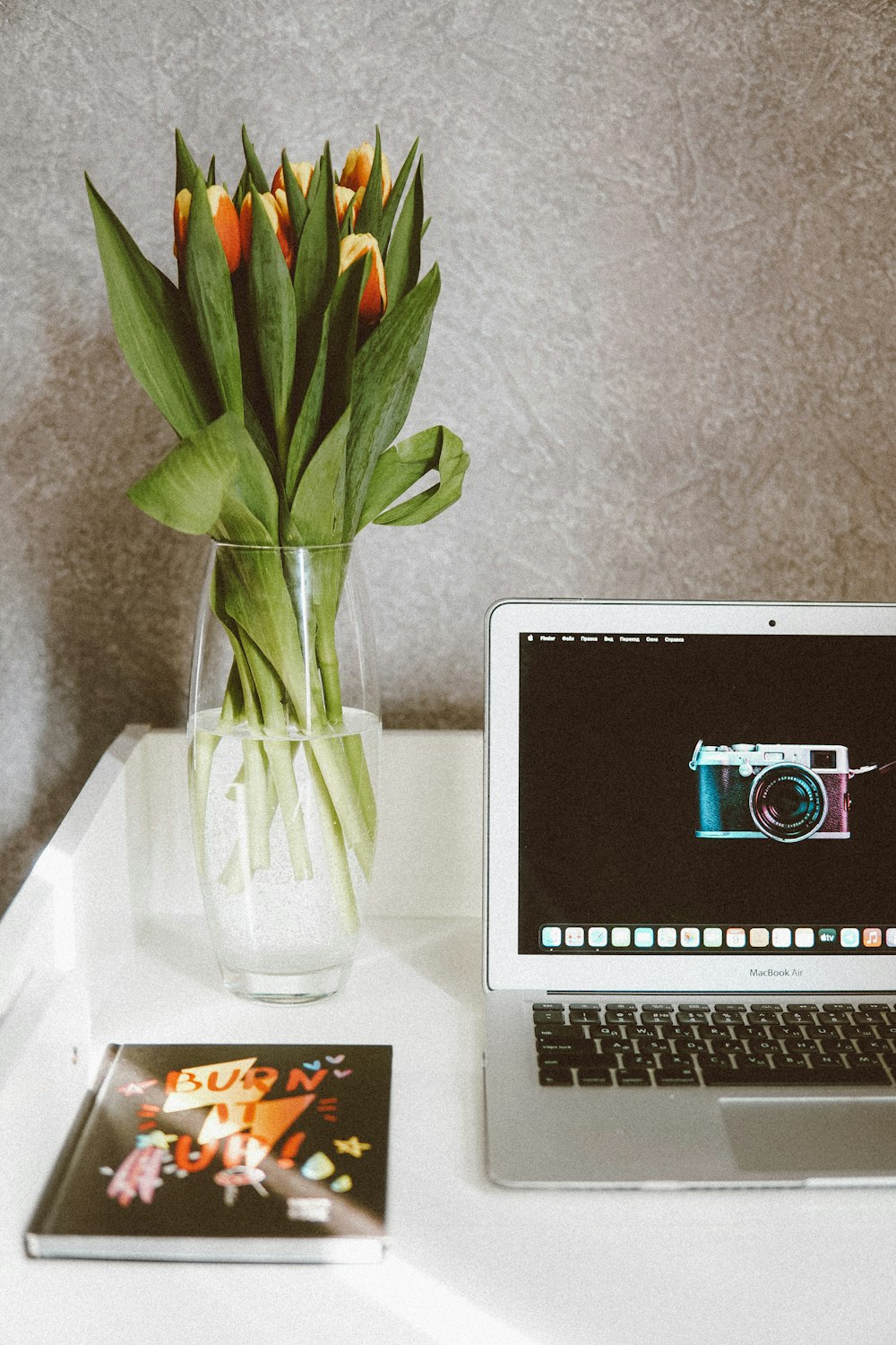 macbook air beside green plant in clear glass vase