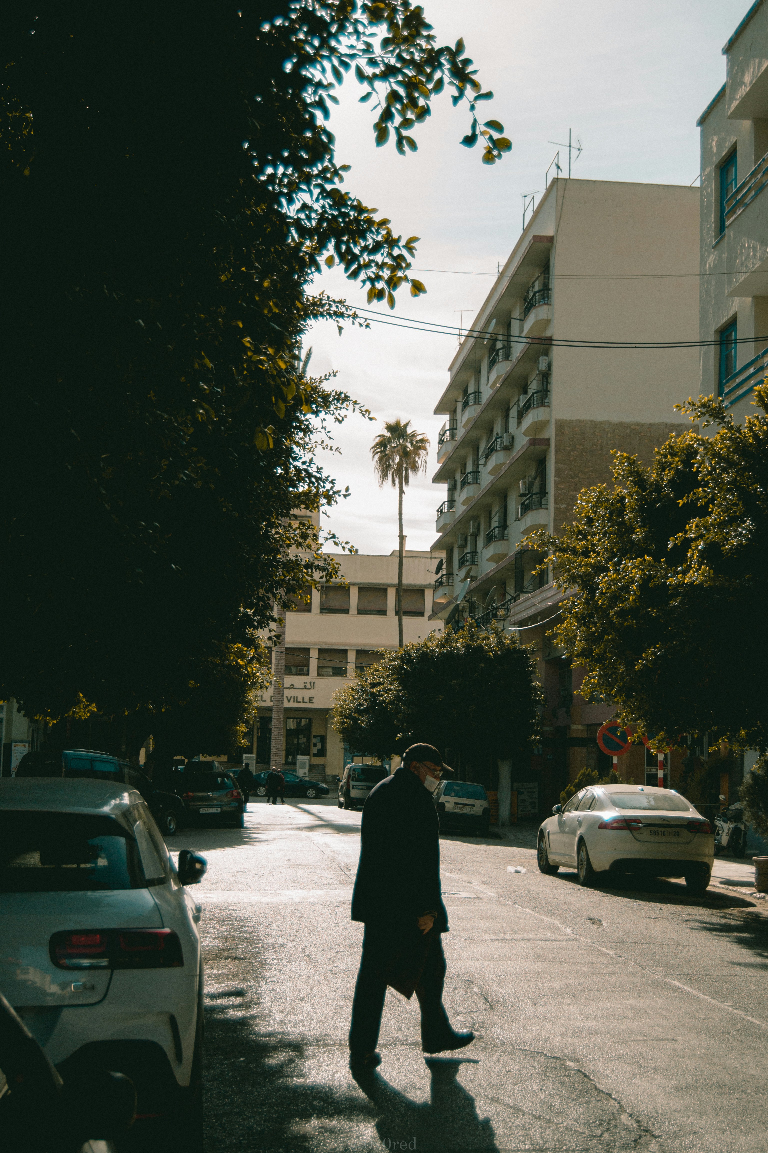 Photo by 0x0red