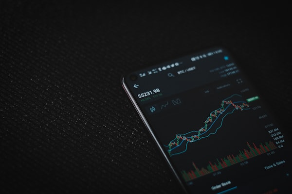 How to diversify crypto your portfolio on WazriX for long term growth