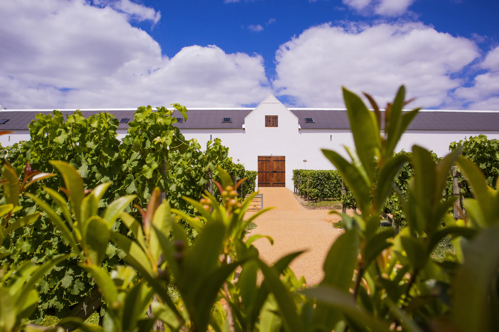 Cape Dutch farmhouse in Gauteng countryside