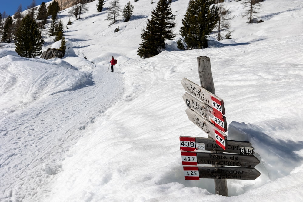 persone sul campo innevato durante il giorno