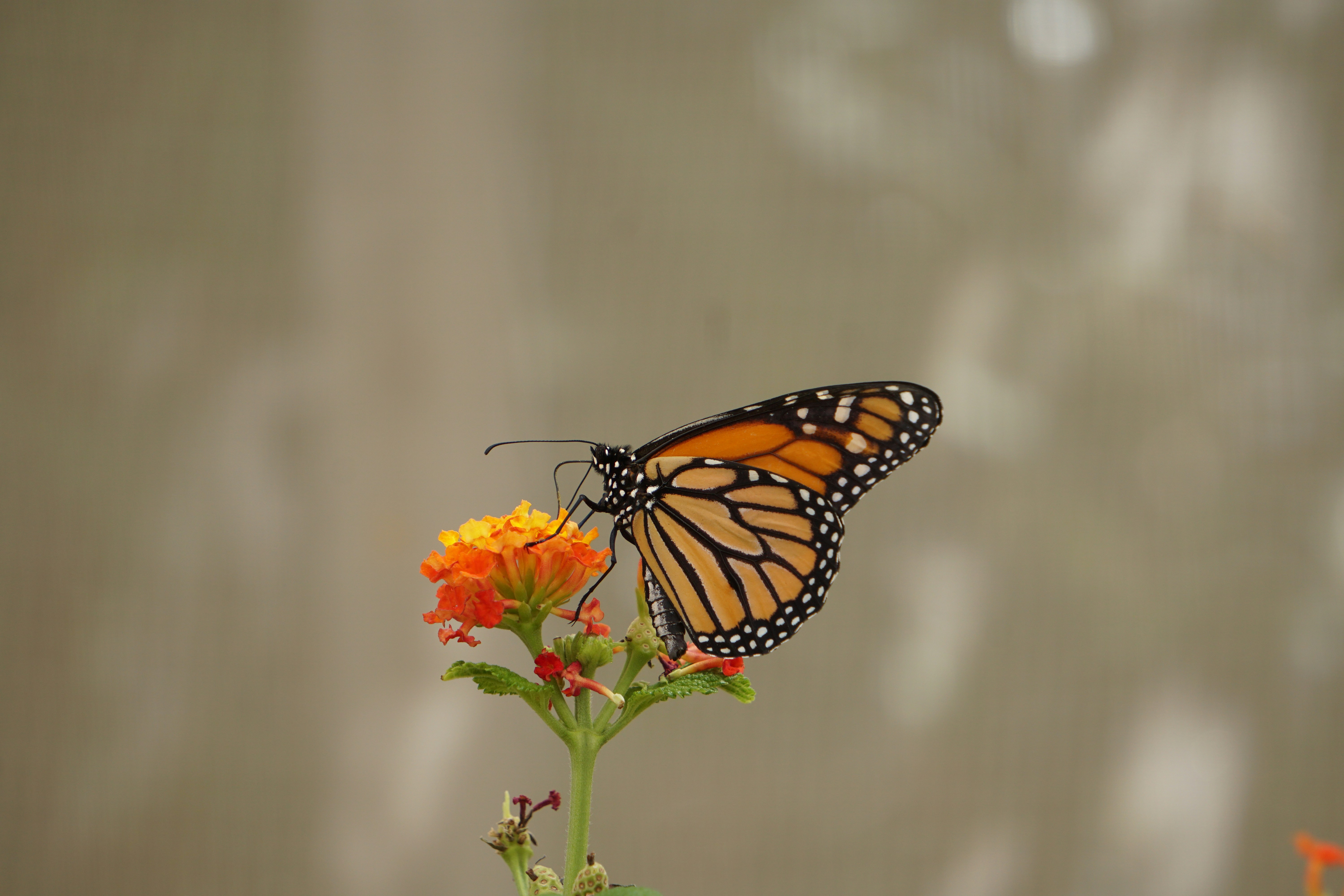 Photo by data_comunicacion