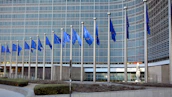 Professional team collaborating at a trading office with international flags on display.