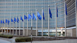 Professional team collaborating at a trading office with international flags on display.