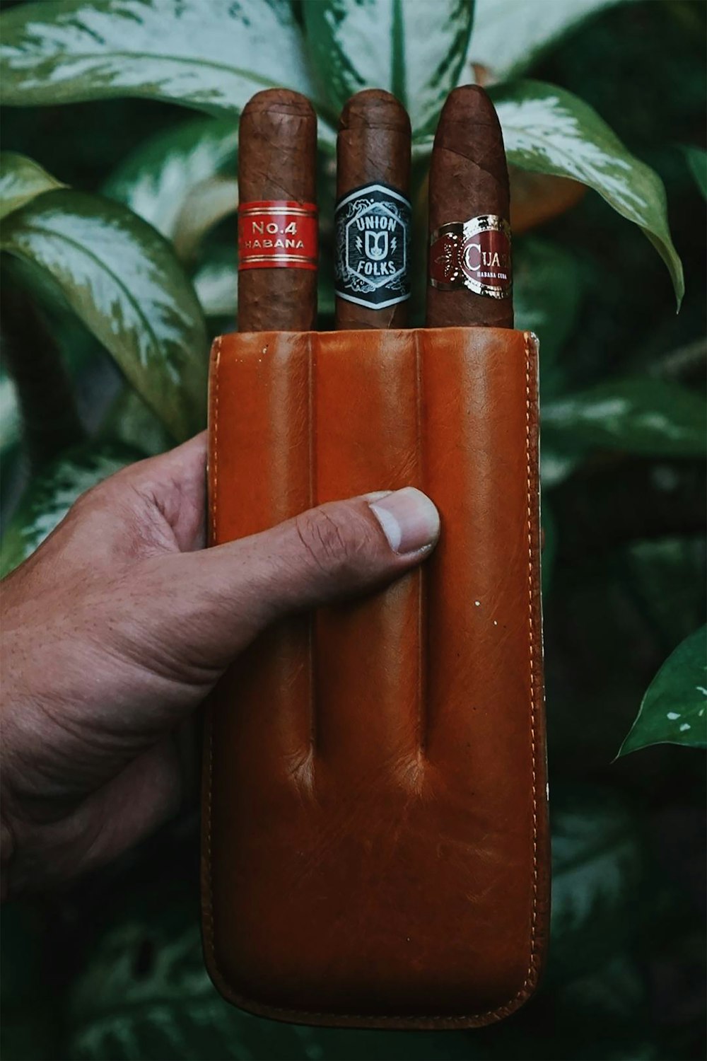 a hand holding a cigar case with three cigars in it