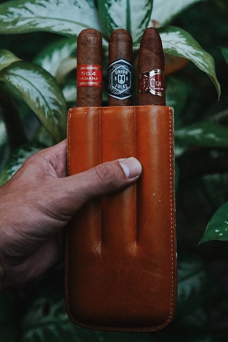 Plasencia Alma Fuerte Nestor IV Cigar Review — Score & Tasting Notes