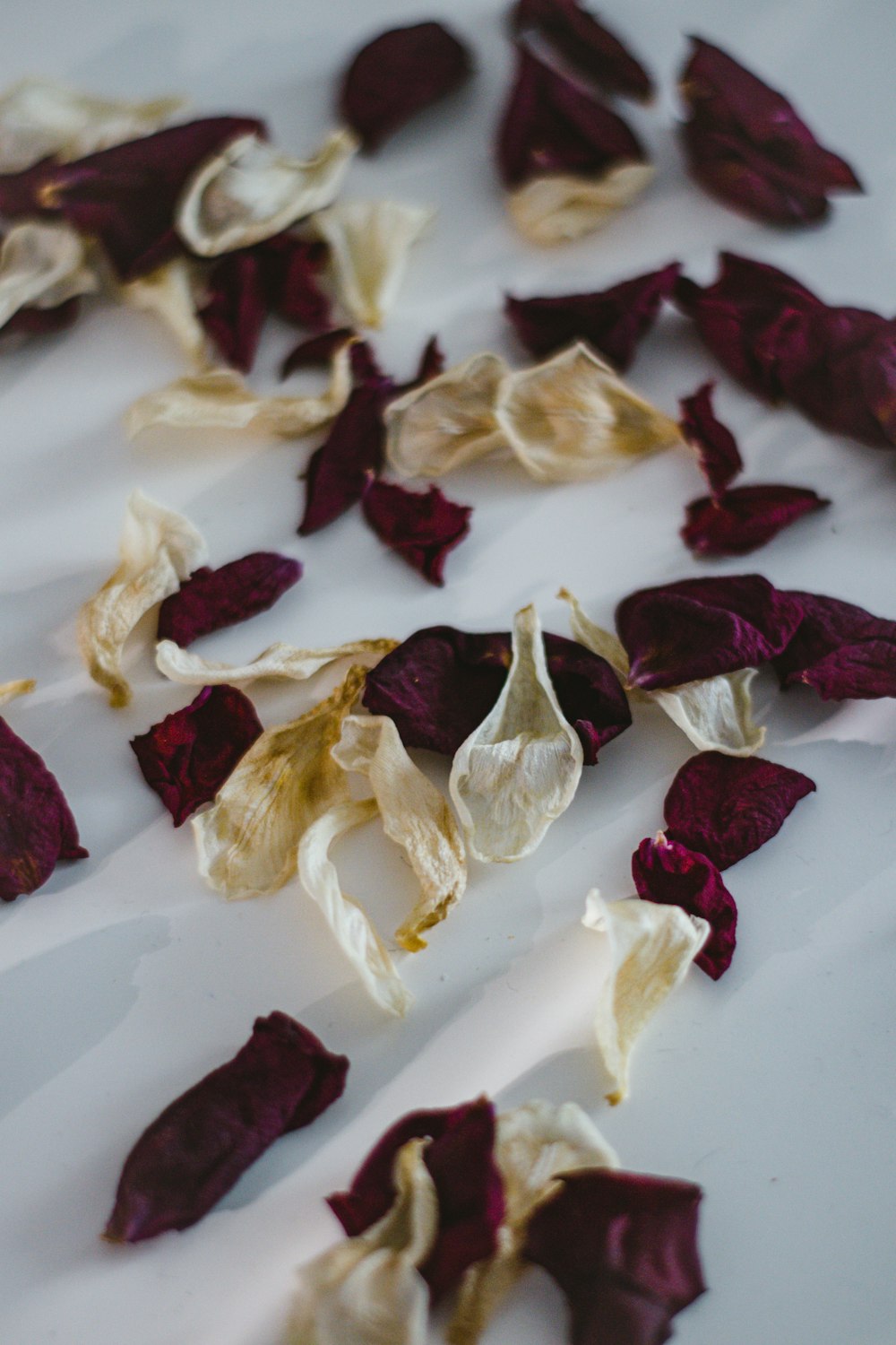 white and red flower petals