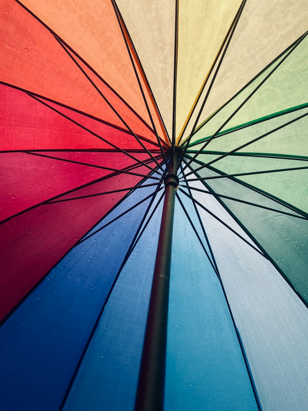 blue red and green umbrella