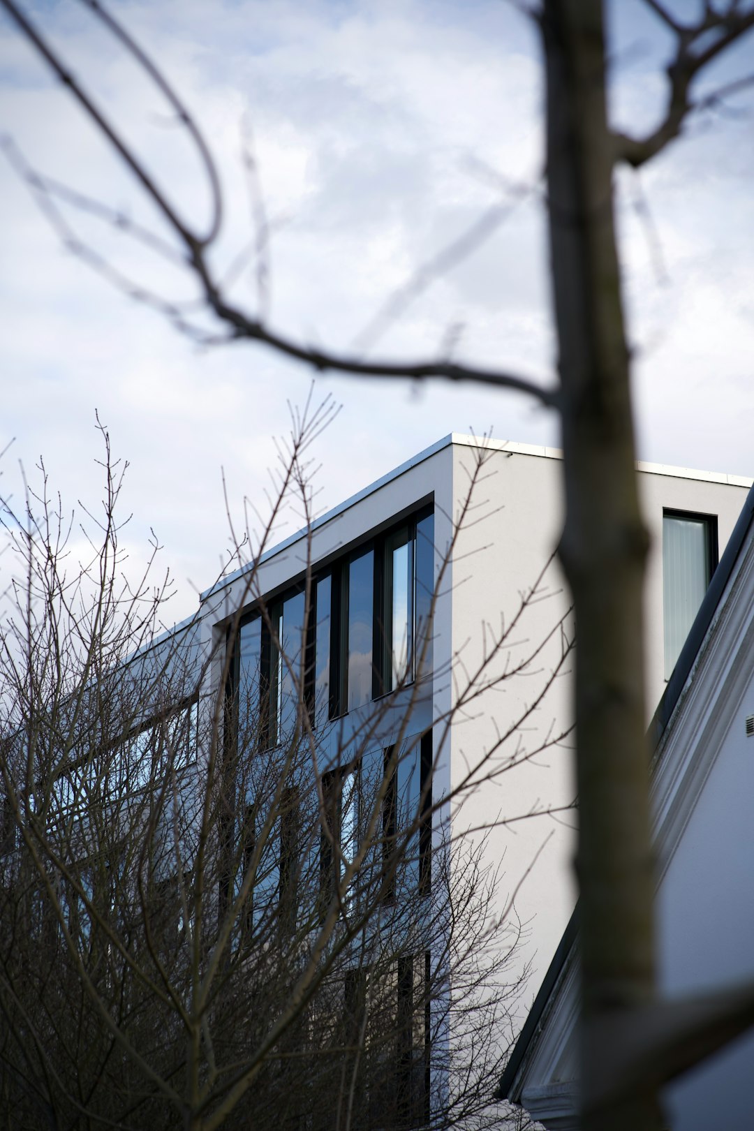 leafless tree near brown concrete building