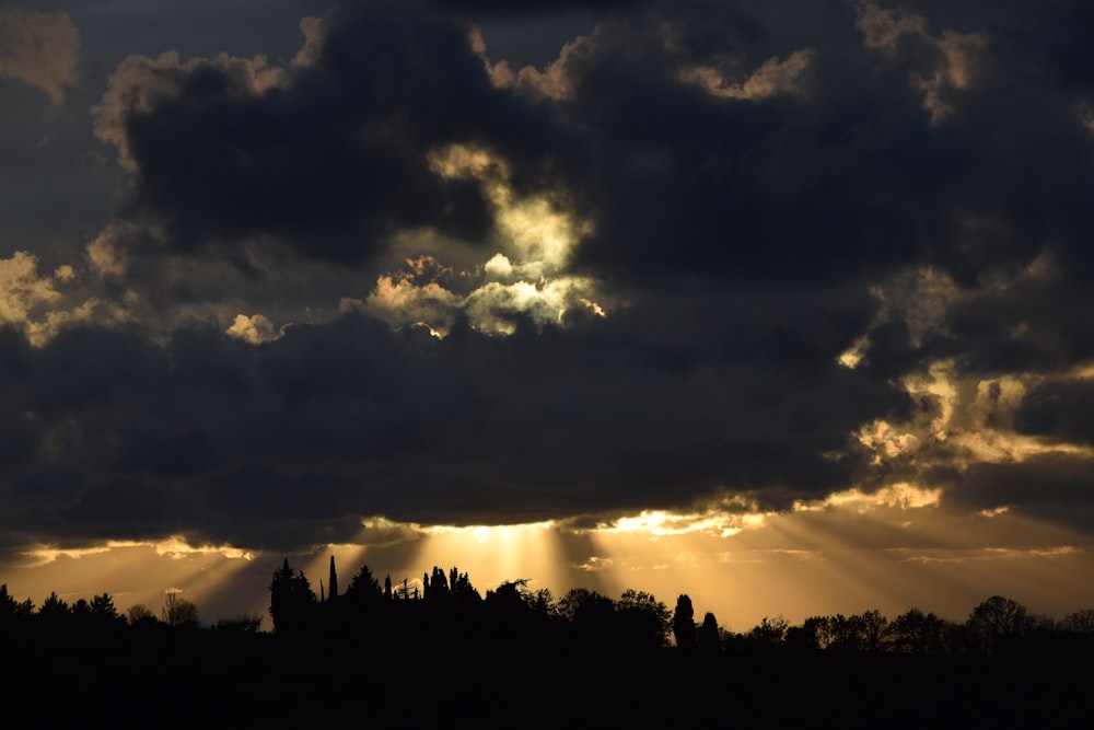 silhouette of trees under cloudy sky during sunset