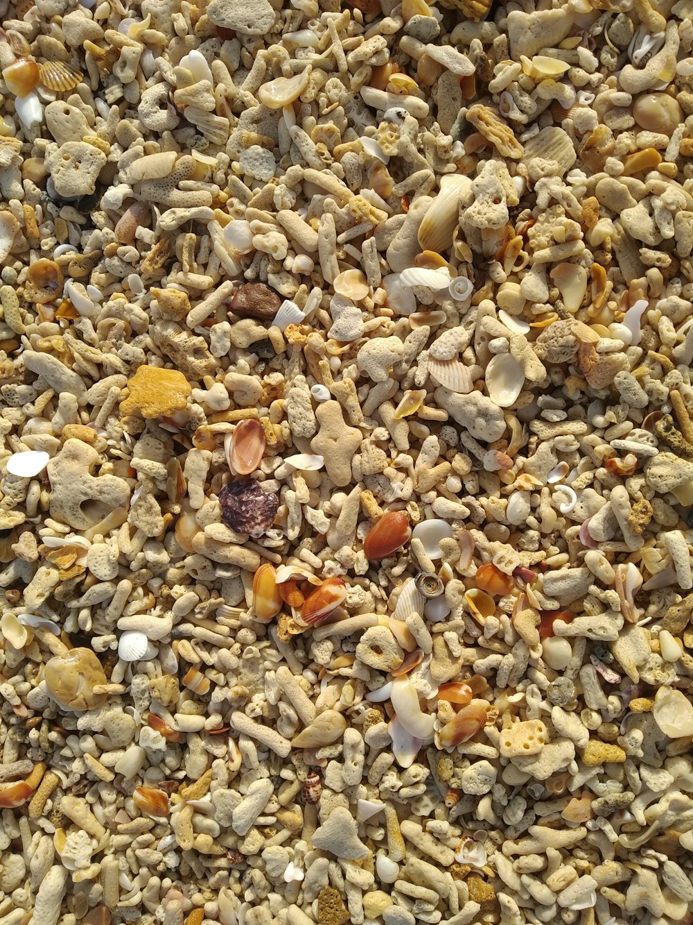 white brown and gray pebbles