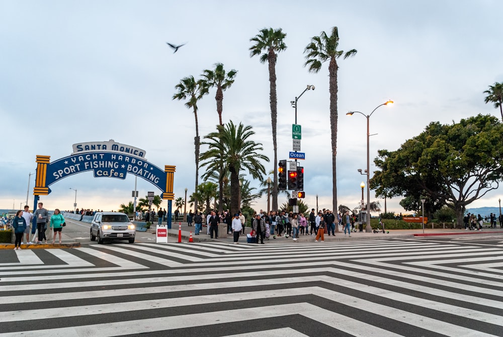 people walking on pedestrian lane during daytime