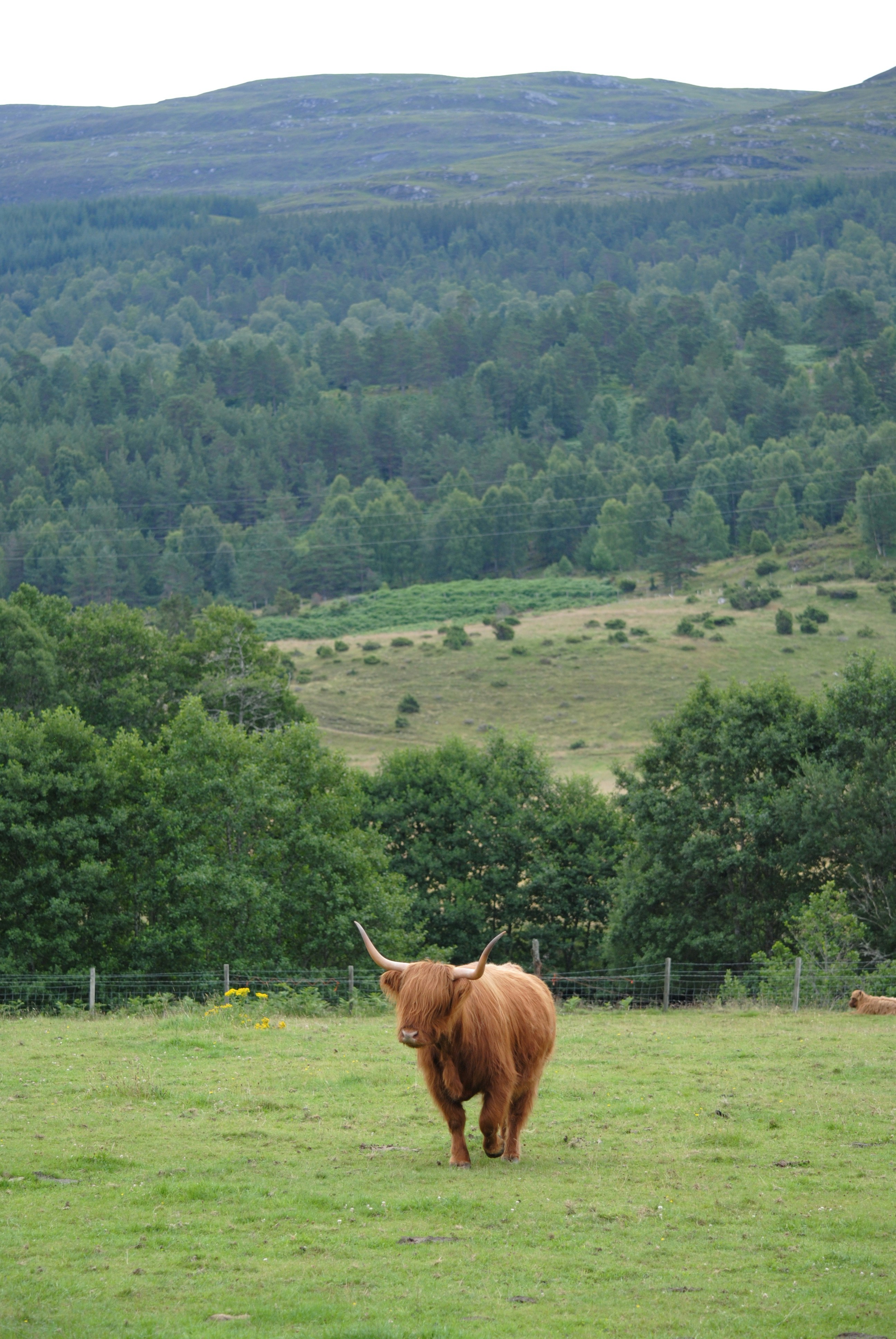 Photo by sandiproy_kolkata