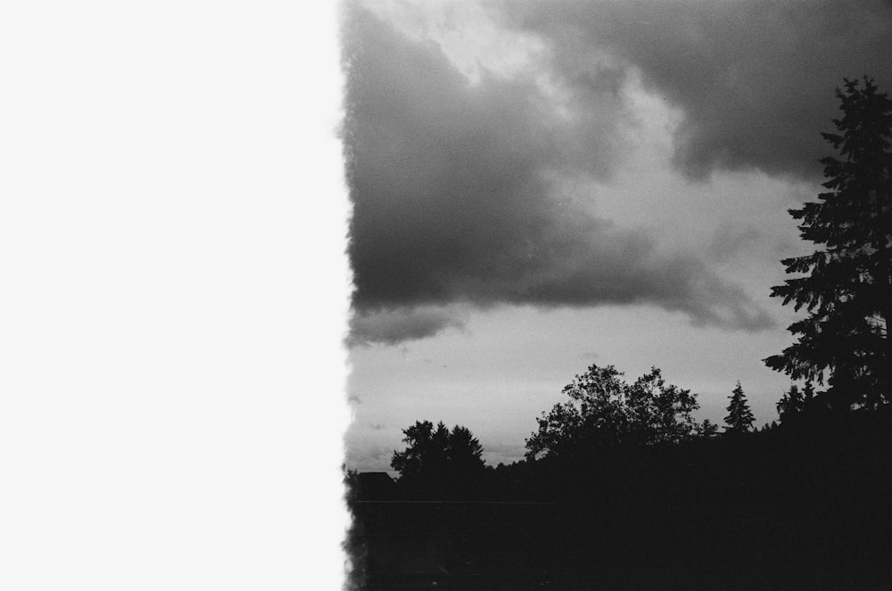 green trees under white clouds