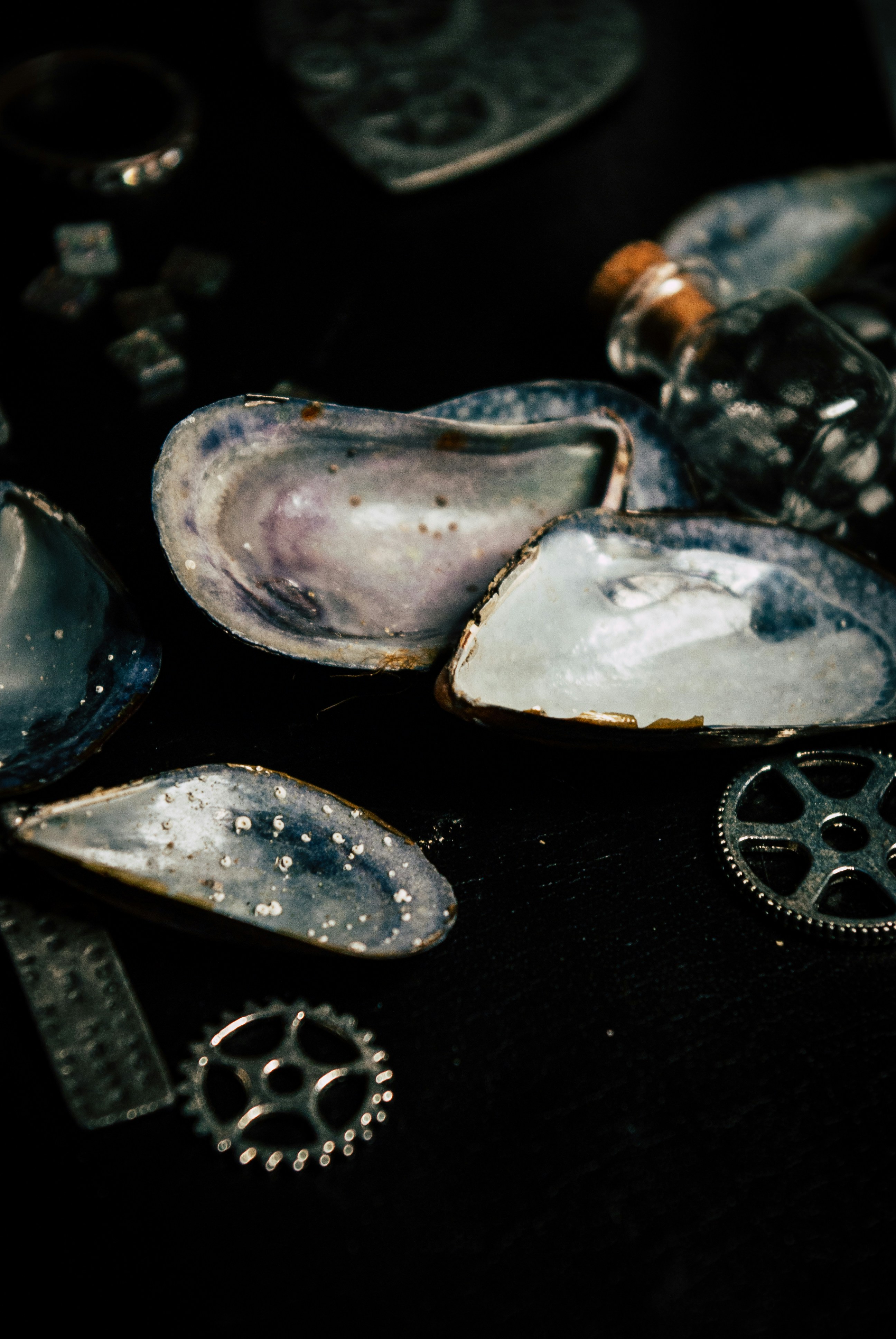 Photo by moonmoons_days