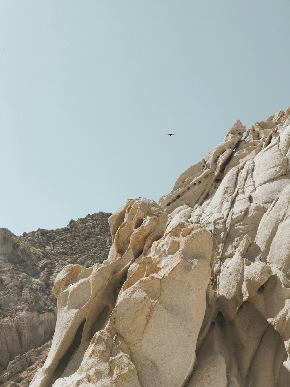 birds flying over brown rocky mountain during daytime