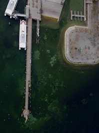 An aerial view of a dock area featuring a long pier with boats moored to it. The water below is dark green with patches of algae or seaweed visible. Connected to the dock is a rectangular platform surrounded by water, containing what appears to be a small statue and some scattered vegetation or debris.