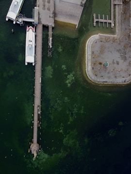An aerial view of a dock area featuring a long pier with boats moored to it. The water below is dark green with patches of algae or seaweed visible. Connected to the dock is a rectangular platform surrounded by water, containing what appears to be a small statue and some scattered vegetation or debris.