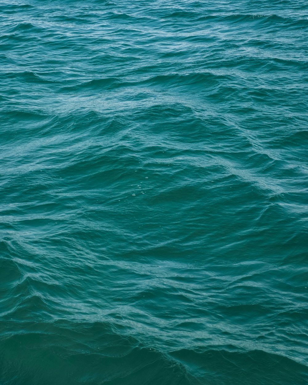 50,000+ Water Waves Pictures  Download Free Images on Unsplash