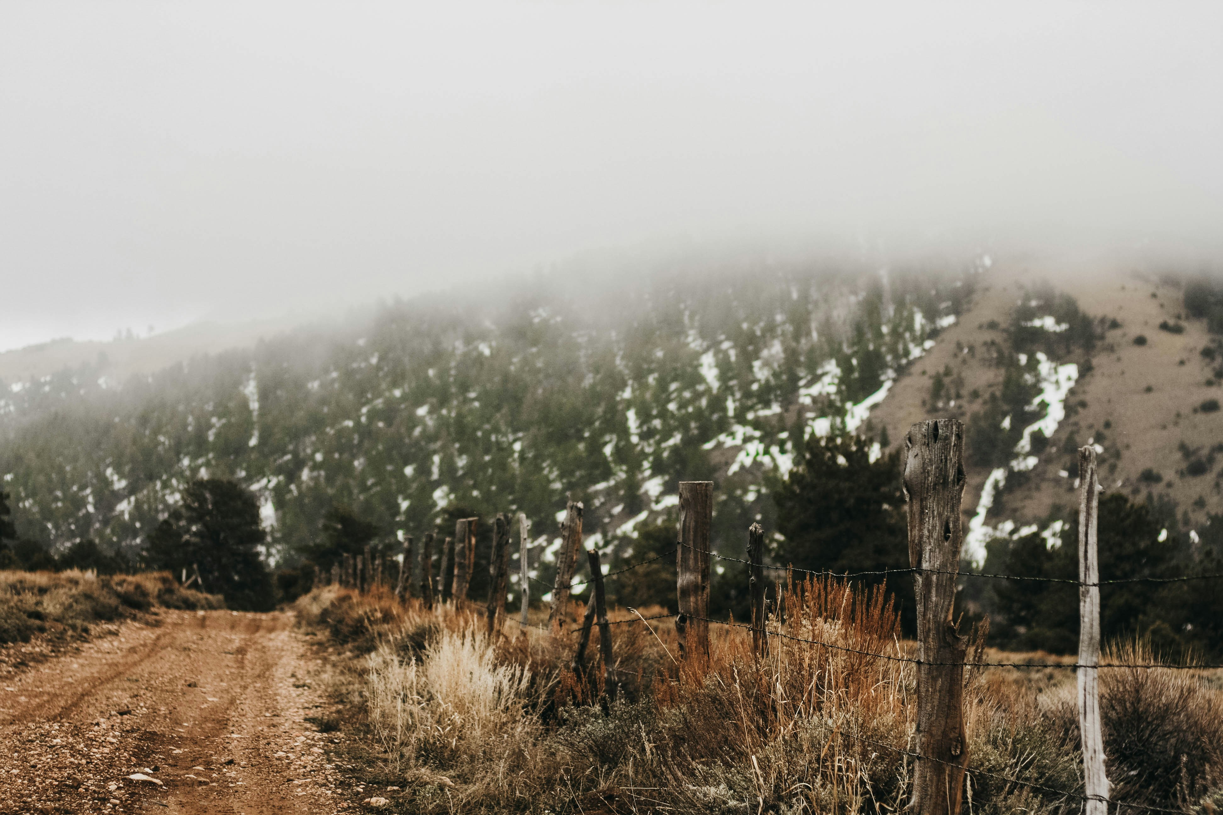 Photo by noellerebekah