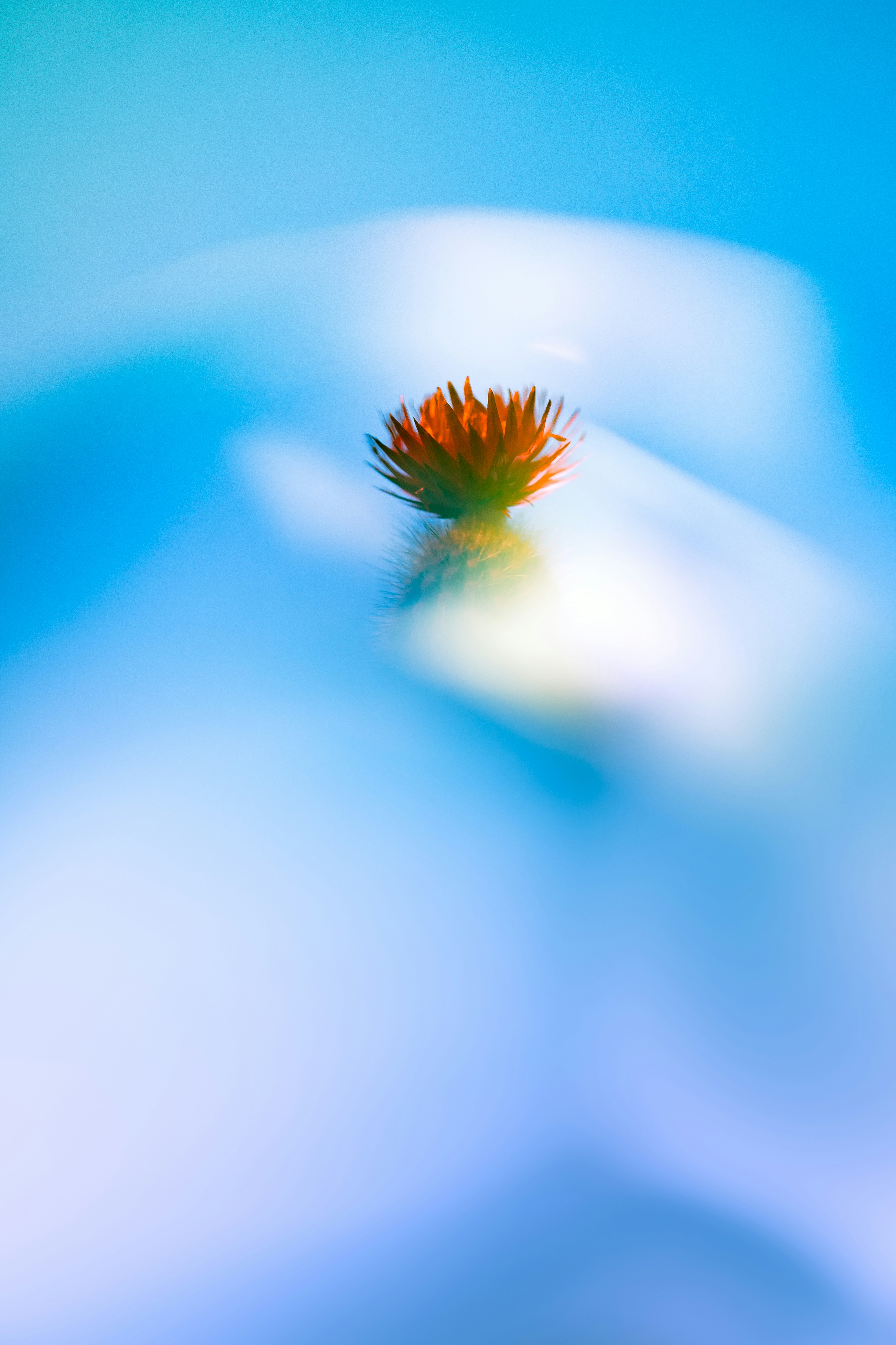 Photo by marekpiwnicki