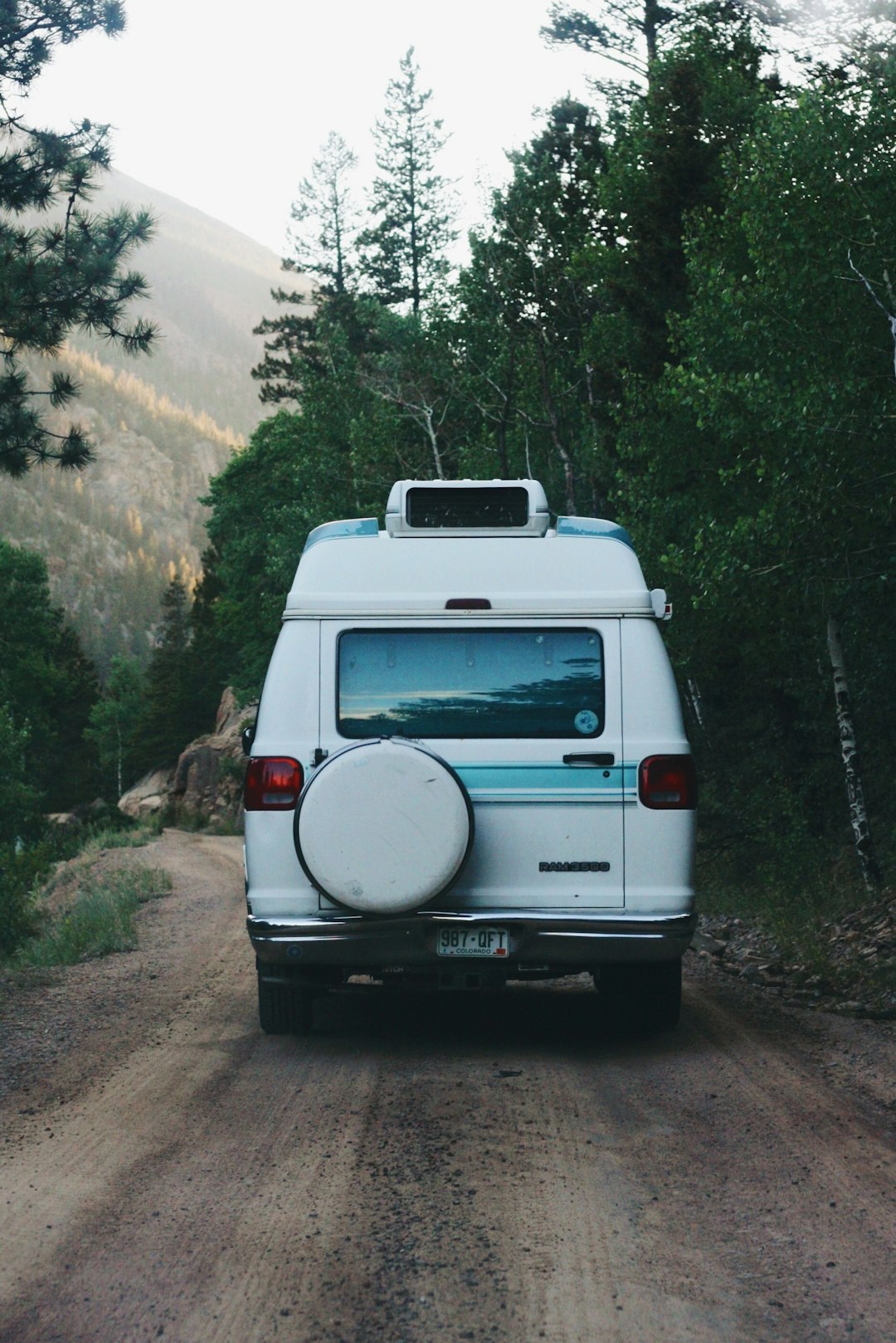 white van on dirt road near green trees during daytime