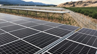 black solar panel on green grass field during daytime