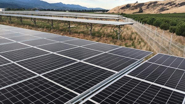 Detailaufnahme von Solarmodulen auf einer Wiese