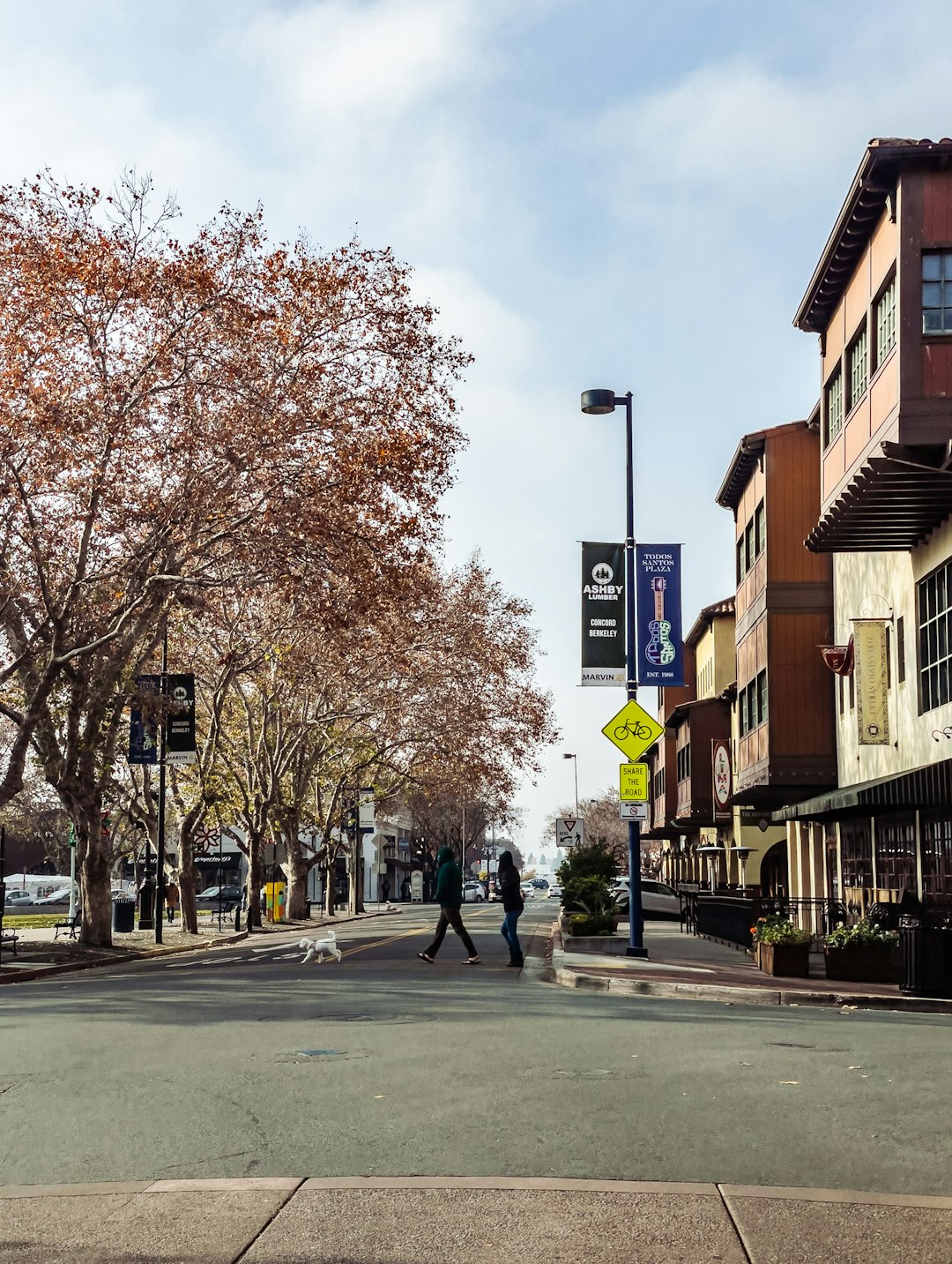 people walking on sidewalk near brown trees during daytime