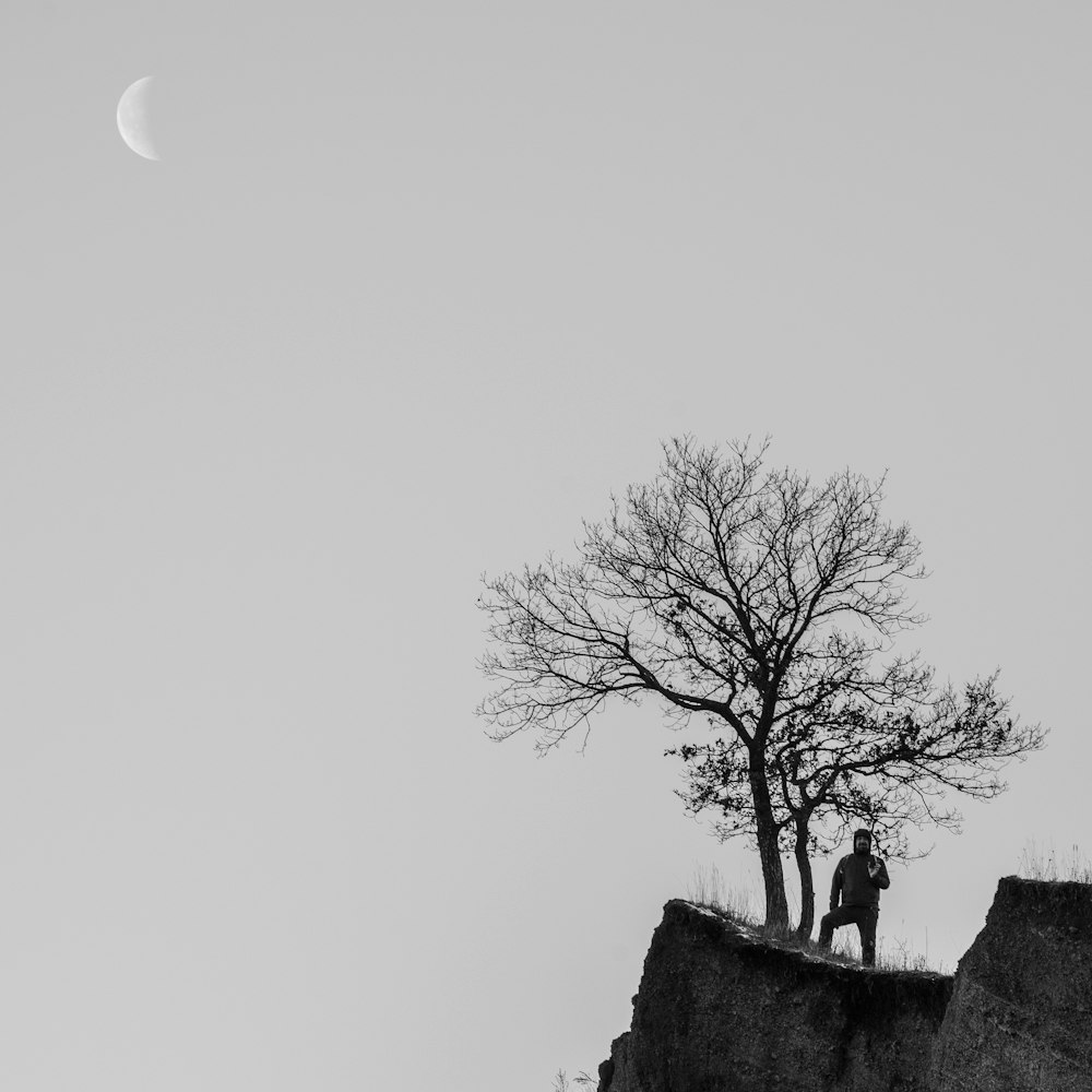 bare tree on top of hill