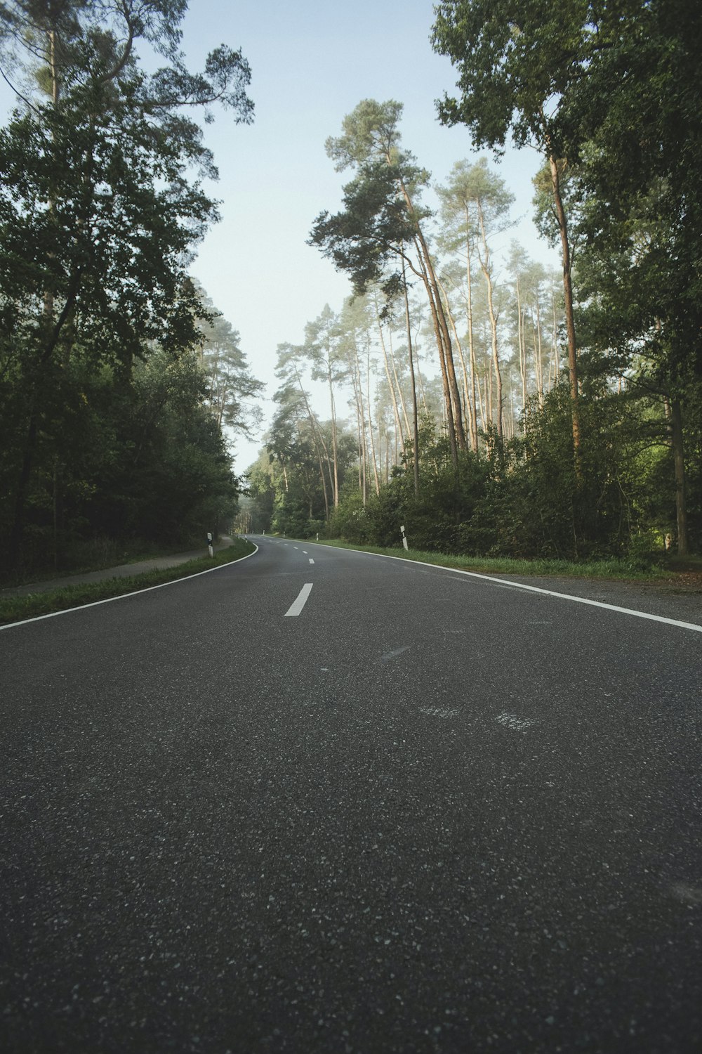 gray asphalt road between green trees during daytime