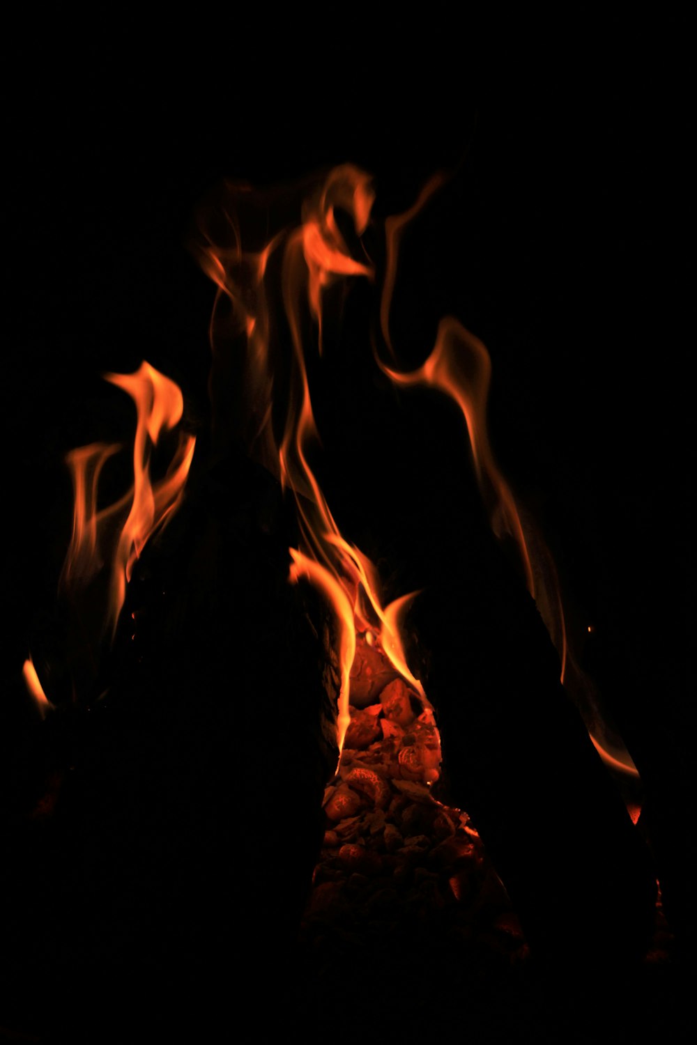 fire in the dark during night time