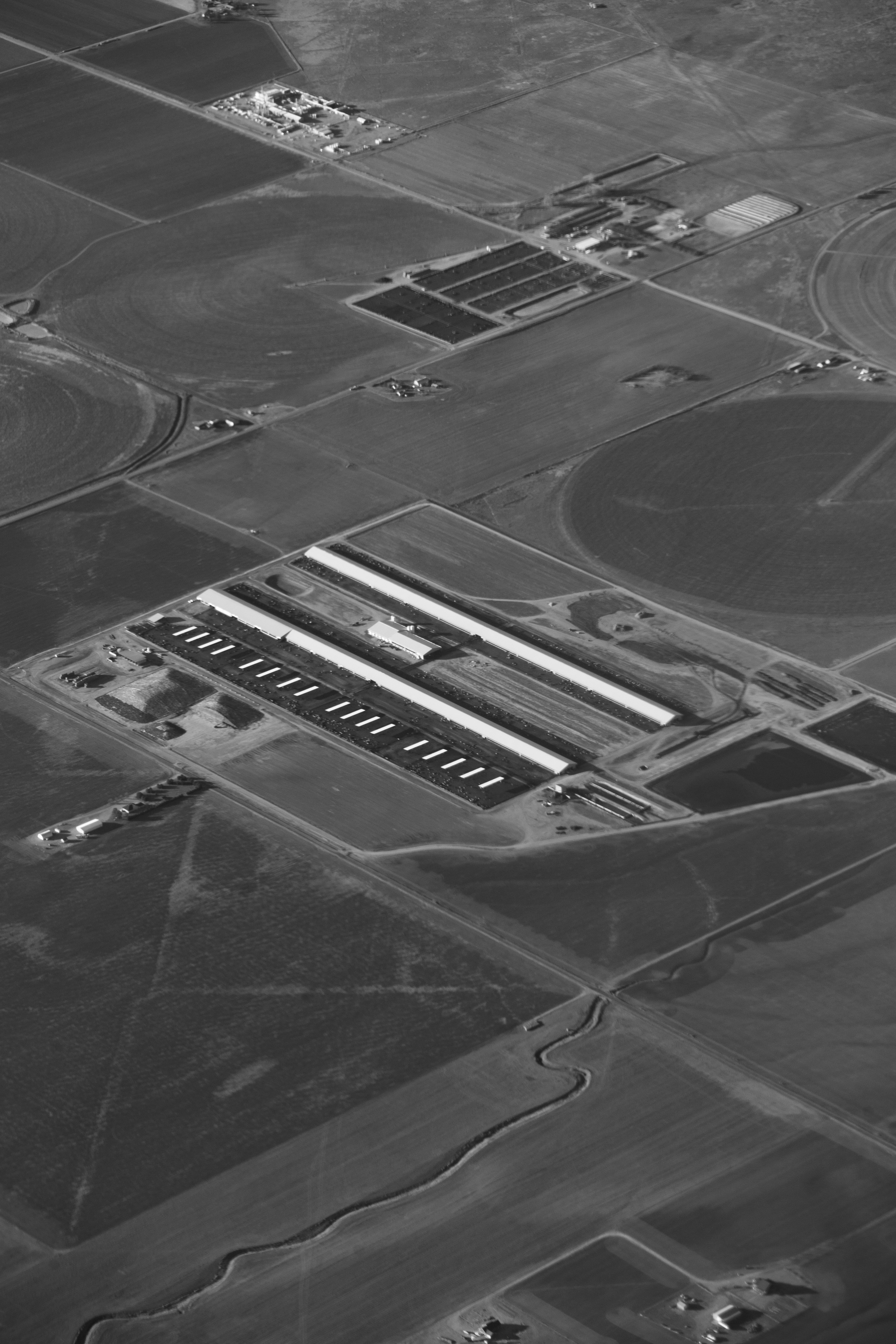 foto in scala di grigi di auto su strada