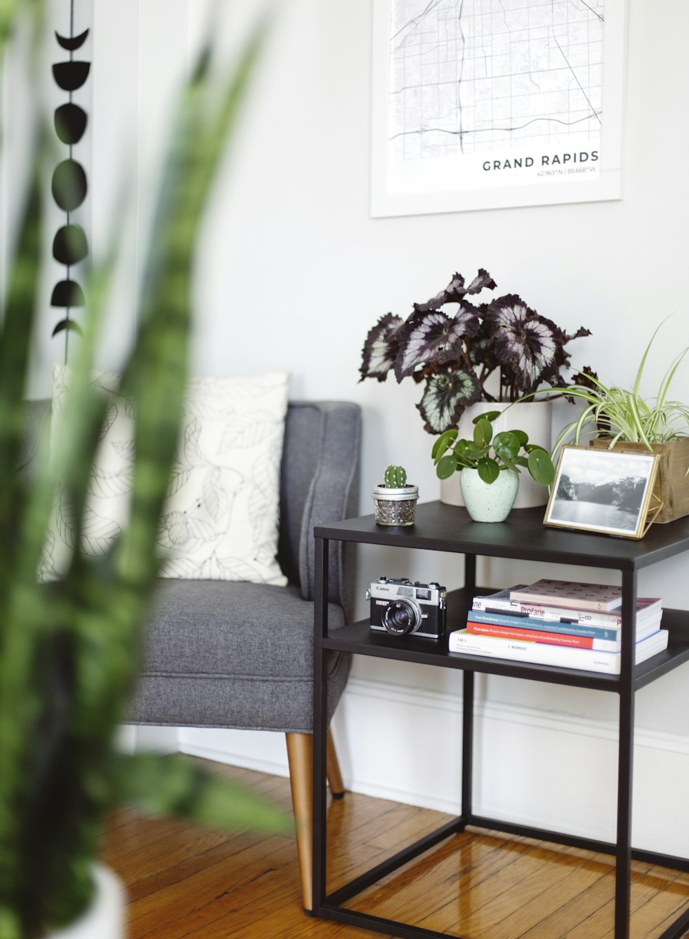 green plant on white ceramic pot on brown wooden table