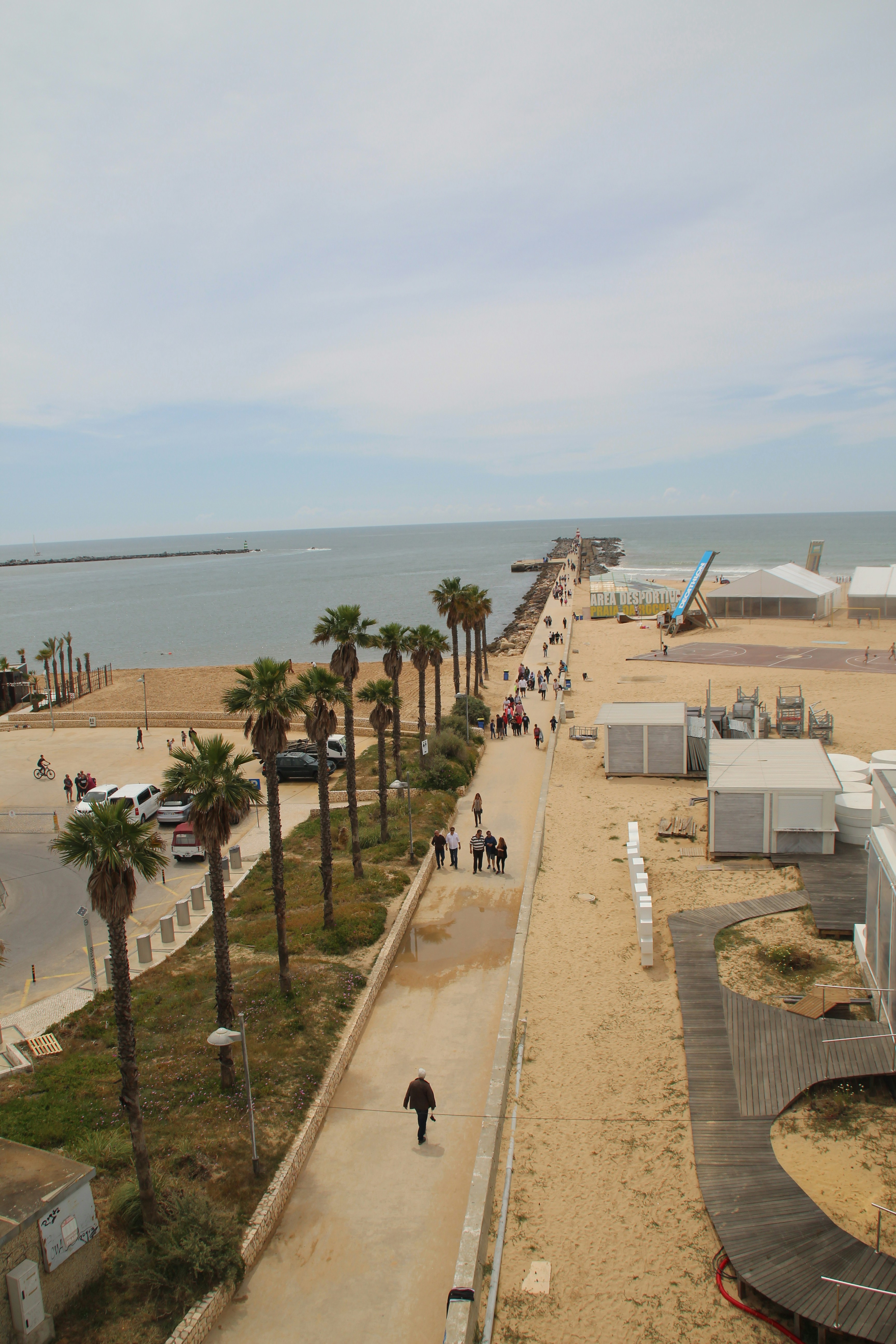 people on beach during daytime