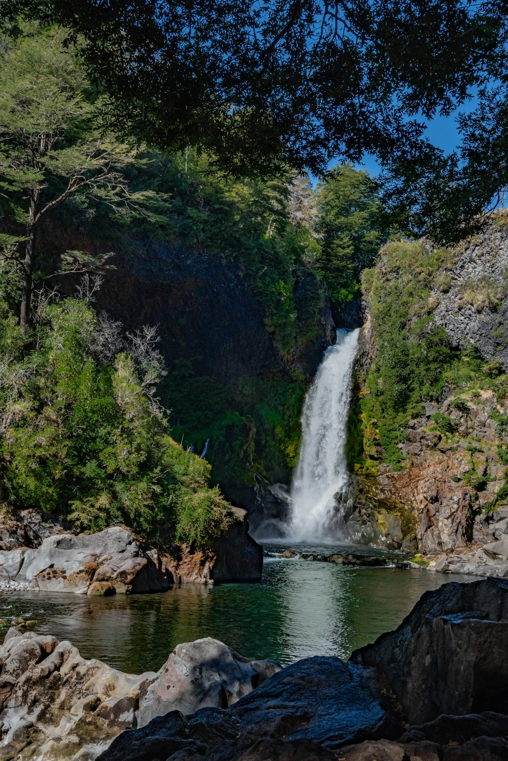 cascadas en medio de árboles verdes durante el día