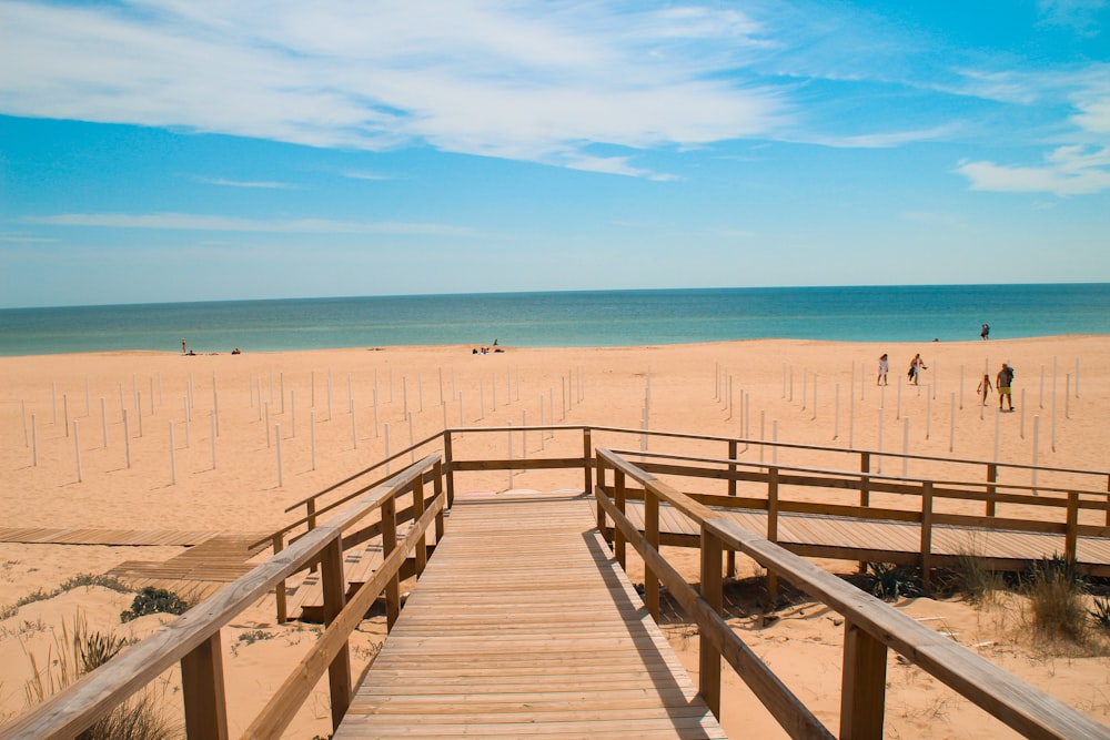 brown wooden dock on beach during daytime