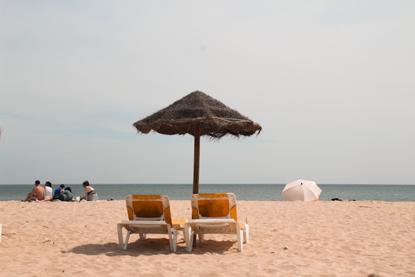 people on beach during daytime