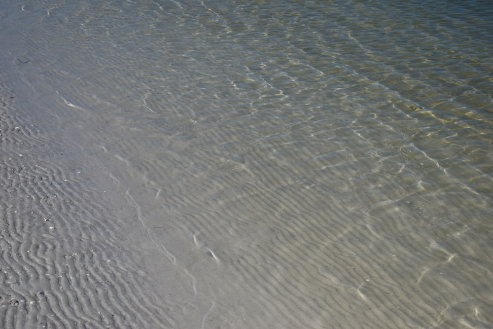 close up photo of body of water