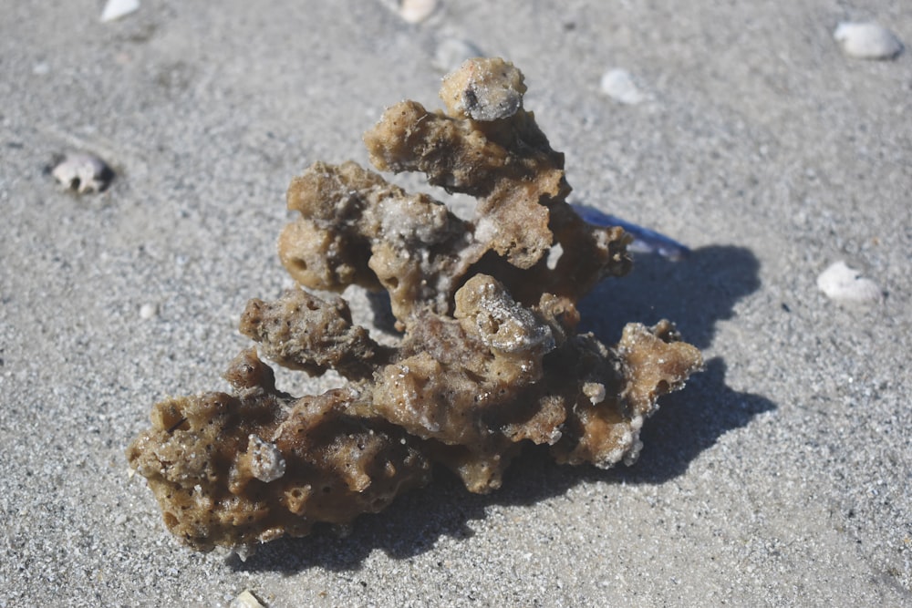 brown and white powder on gray sand