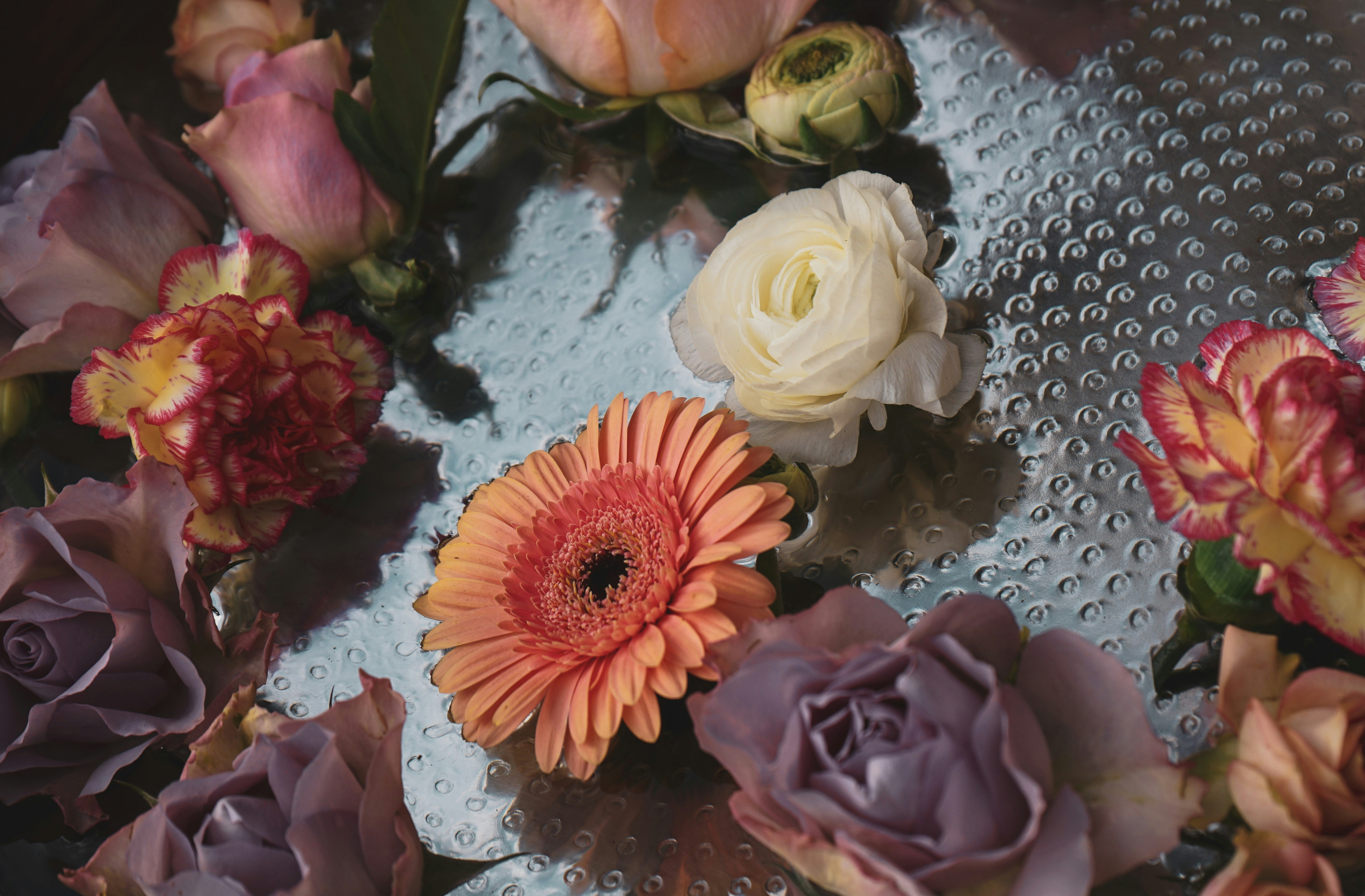 pink and yellow flower bouquet photo – Free Plant Image on Unsplash