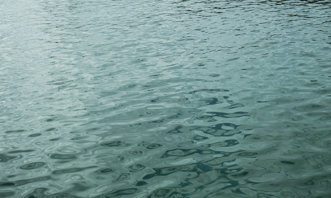 body of water during daytime