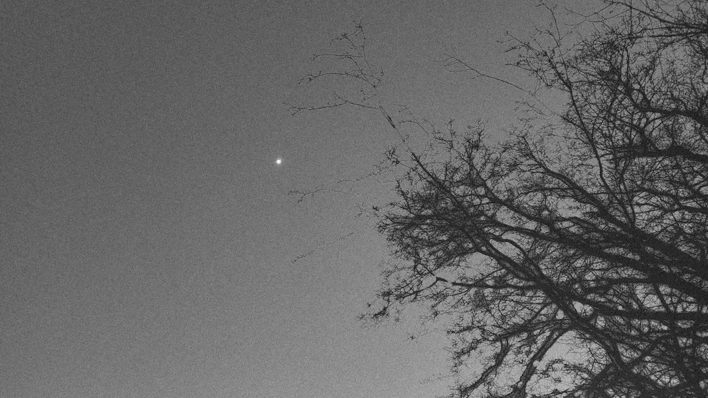Silver Signal