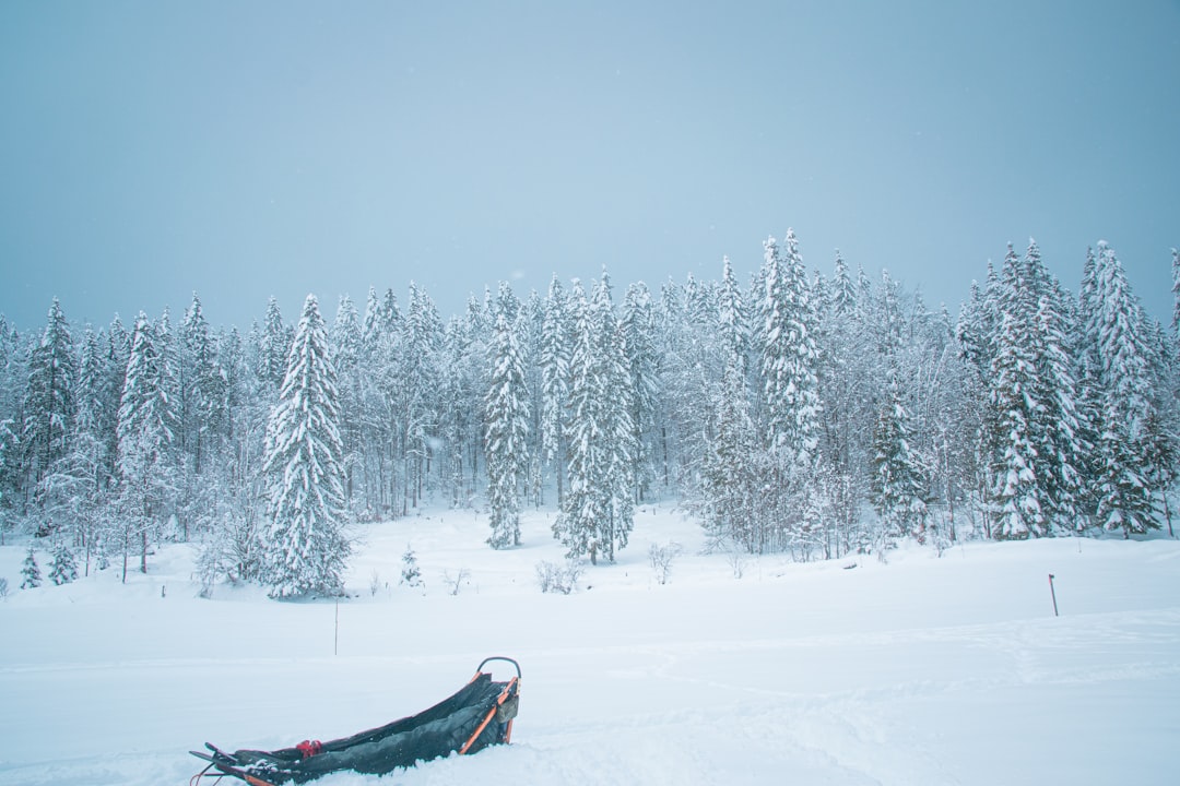 person lying on black hammock on snow covered ground during daytime