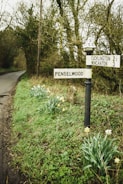 A winding country lane with honesty boxes dotted along the roadside.