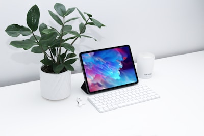 macbook pro beside green plant on white ceramic pot