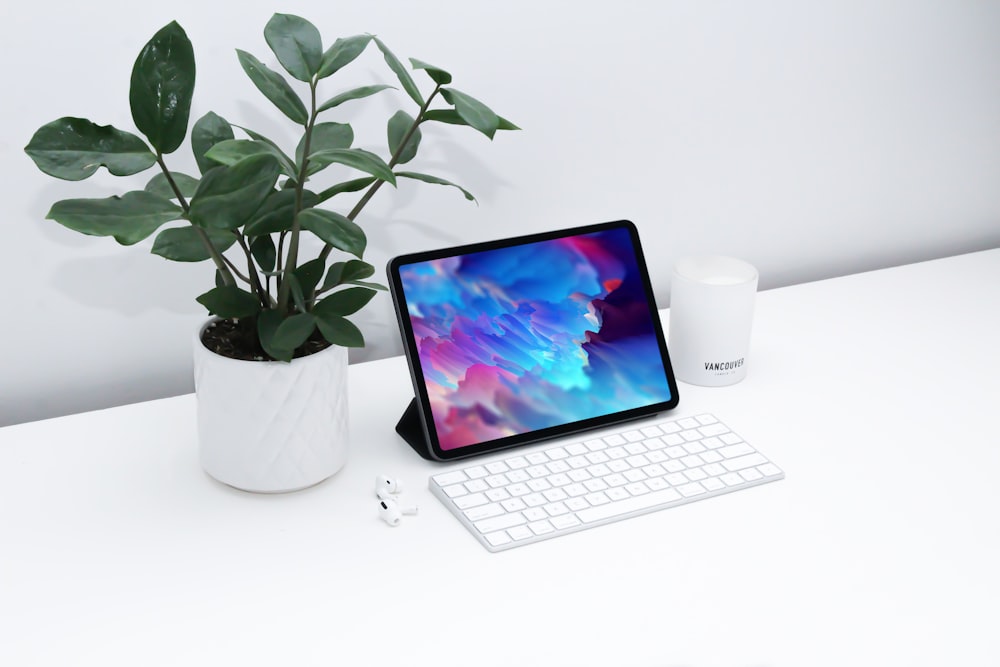 macbook pro ao lado da planta verde no vaso de cerâmica branco