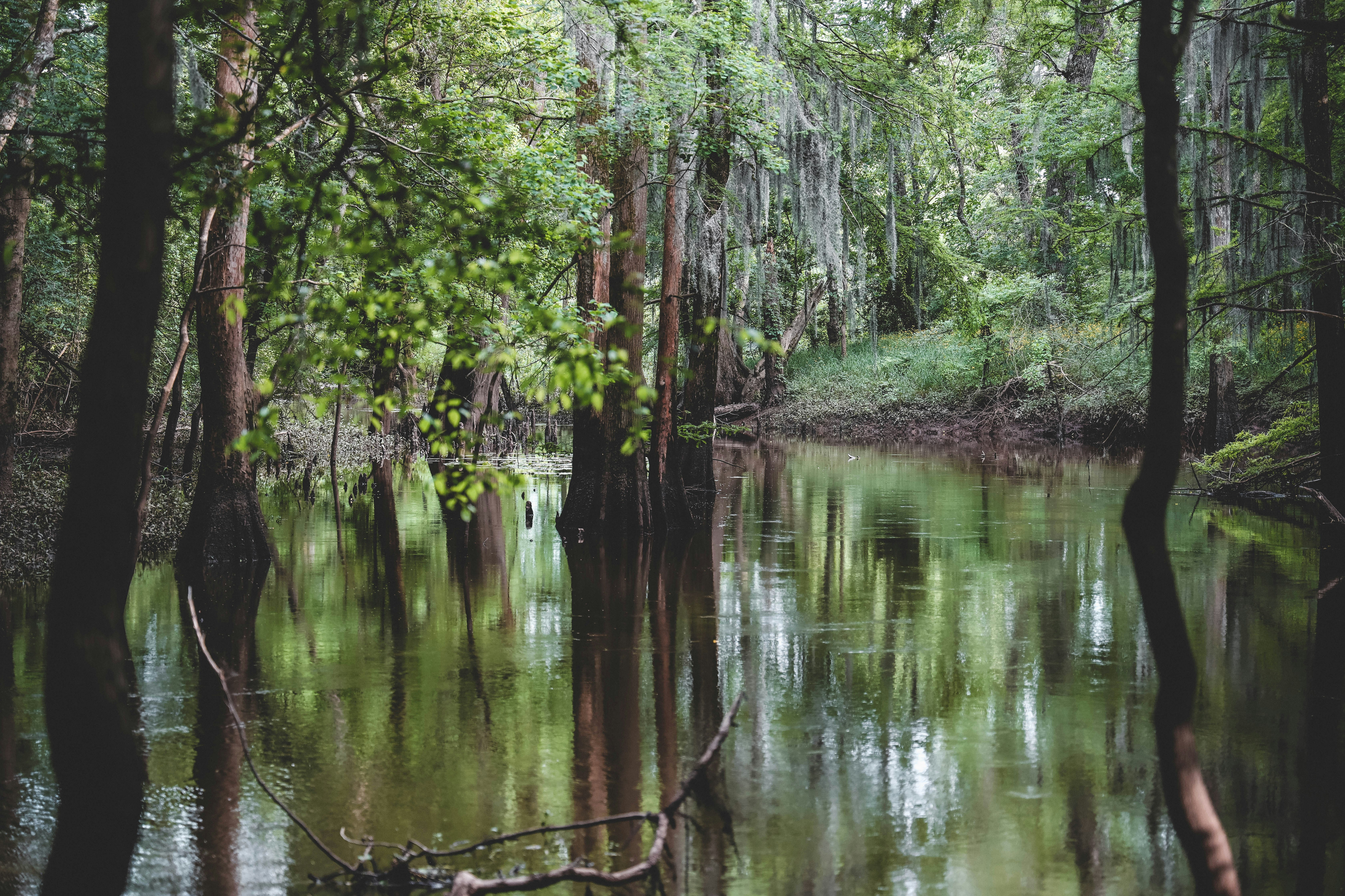 Photo by jessedpoole