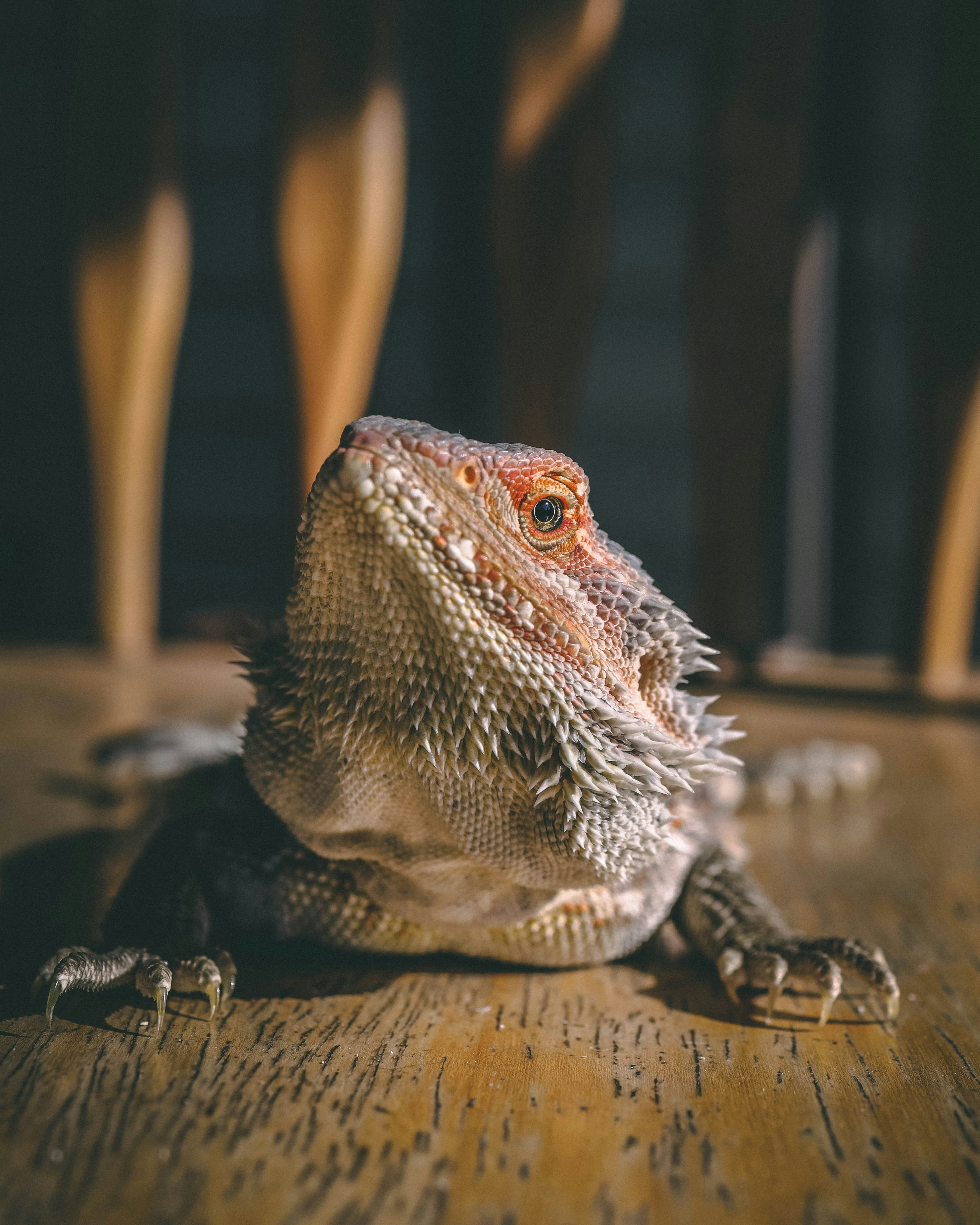 Photo by jessedpoole